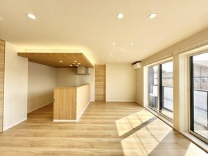 ハイラエトス 0203号-4