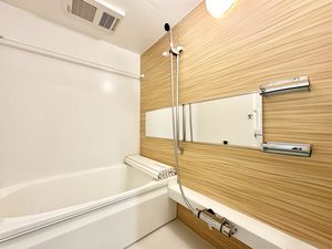 ハイラエトス 0203号-10