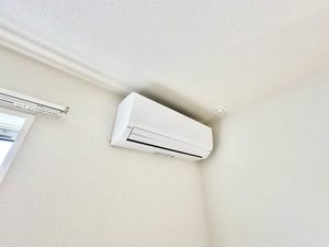 ハイラエトス 0203号-13