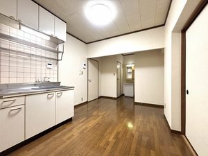 キャッスルＳＳ 0102号-2