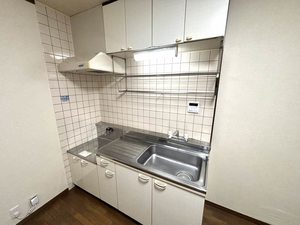 キャッスルＳＳ 0102号-3