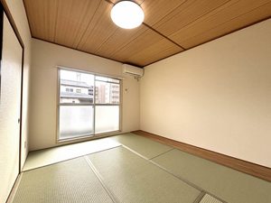 キャッスルＳＳ 0102号-8