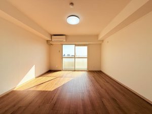 ステーションビラKⅢ 1102号-2