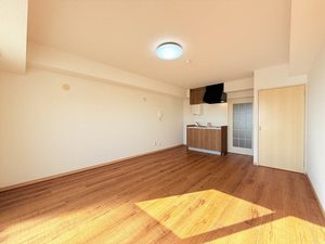 ステーションビラKⅢ 1102号-3