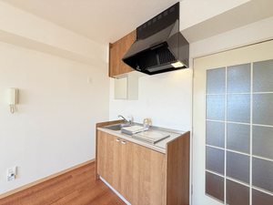 ステーションビラKⅢ 1102号-4