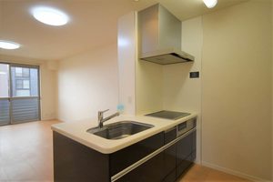 ウエストタウンⅡ 0201号-5