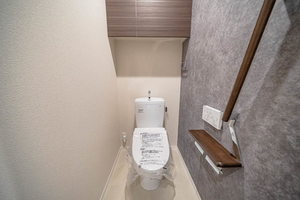 ＦｉｒｓｔＳｔ（ファストステップ） 0101号-8