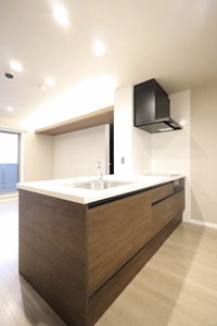 カーサ・レジデンス 0307号-9