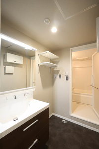 カーサ・レジデンス 0407号-11