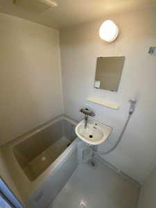 ウエスタンヴィラ 0102号-6