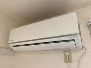 ウエスタンヴィラ 0102号-10
