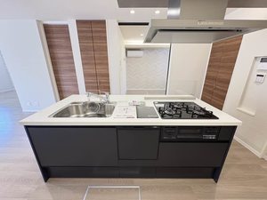 シャーメゾンヒルズ 0103号-3