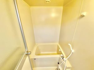 ワコーハイツ 0205号-9