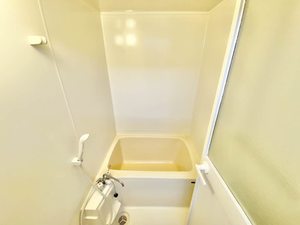 ワコーハイツ 0206号-9