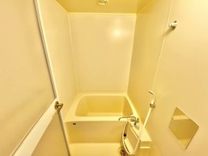 ワコーハイツ 0302号-9