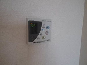 リジュール オオタ C113号-6