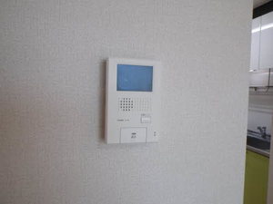 リジュール オオタ C113号-7