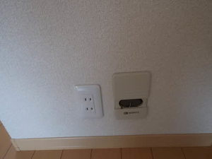 リジュール オオタ C113号-12