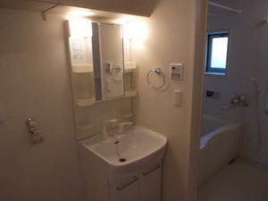 リジュール オオタ C113号-13