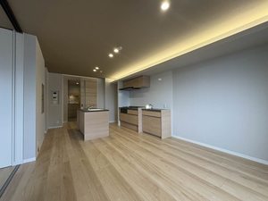 リオリエントオーヴィル 0303号-10