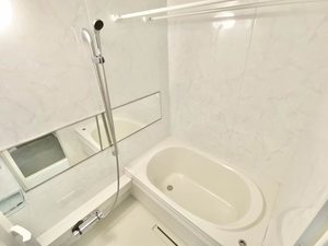 ＳＨＩＮＥ　ＦＯＲＴ 0103号-10