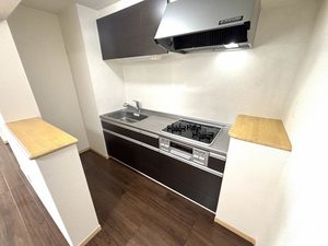 ヒルズ桜坂 101号-3