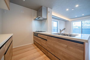 ヴェルデ小田井 0203号-8