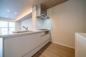 ヴェルデ小田井 0301号-8