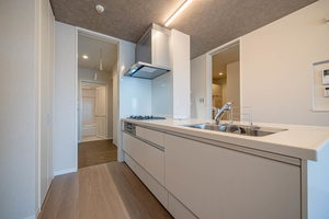 ヴェルデ小田井 0308号-8