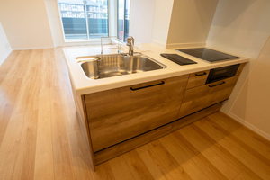 ウィステリア蜷川 0202号-11