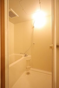 ＴＨＥ　ＲＯＯＴＳ 0303号-8