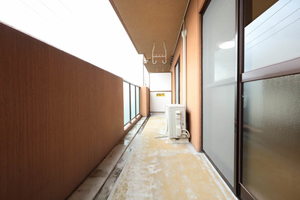 ＴＨＥ　ＲＯＯＴＳ 0303号-15