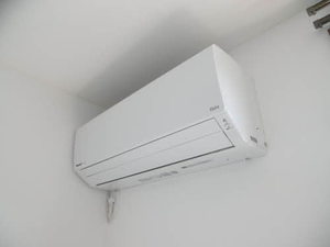 アマリリス A101号-11