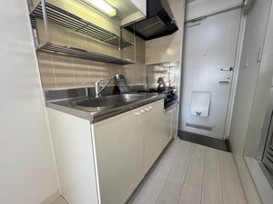 フェイバハイム 0202号-3