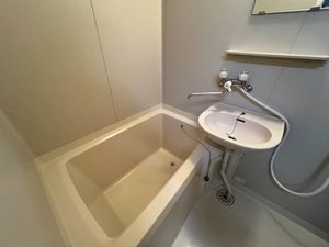 フェイバハイム 0203号-4