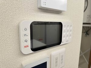 Ａｍｙｌｕｍｓ鷹匠Ⅱ 0105号-11