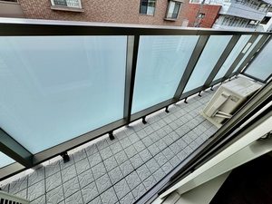 Ａｍｙｌｕｍｓ鷹匠Ⅱ 0401号-10