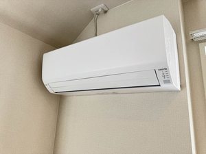 Ａｍｙｌｕｍｓ鷹匠Ⅱ 0401号-12