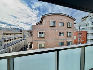 Ａｍｙｌｕｍｓ鷹匠Ⅱ 0401号-13