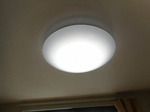 エスポワールひばりケ丘 0101号-11