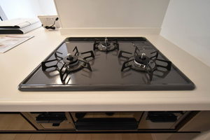 Ｆｌｅｕｒｉａ 0101号-11