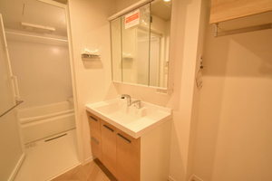 Ｆｌｅｕｒｉａ 0102号-6