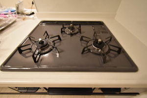 Ｆｌｅｕｒｉａ 0201号-4