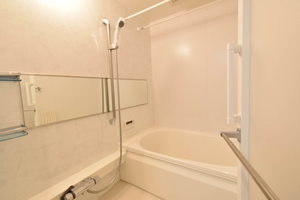 Ｆｌｅｕｒｉａ 0201号-5