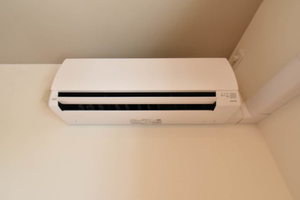 Ｆｌｅｕｒｉａ 0202号-11