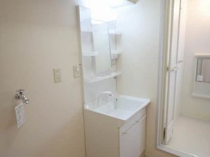 メゾン大栄 0201号-5