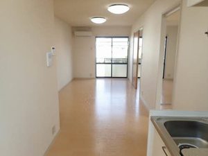 メゾン大栄 0201号-9