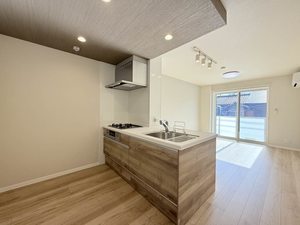 ＡＸＩＳ助信 0101号-13