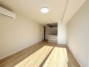 ＡＸＩＳ助信 0102号-2