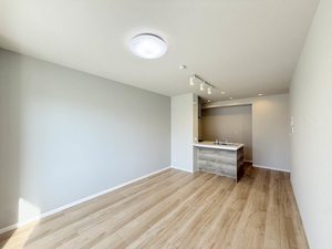 AXIS助信 0106号-2